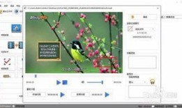 水印视频爆料怎么弄,如何轻松生成概述文章副标题