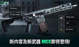 未来之役最新爆料新枪,神秘性能引发热议，战场霸主即将诞生！